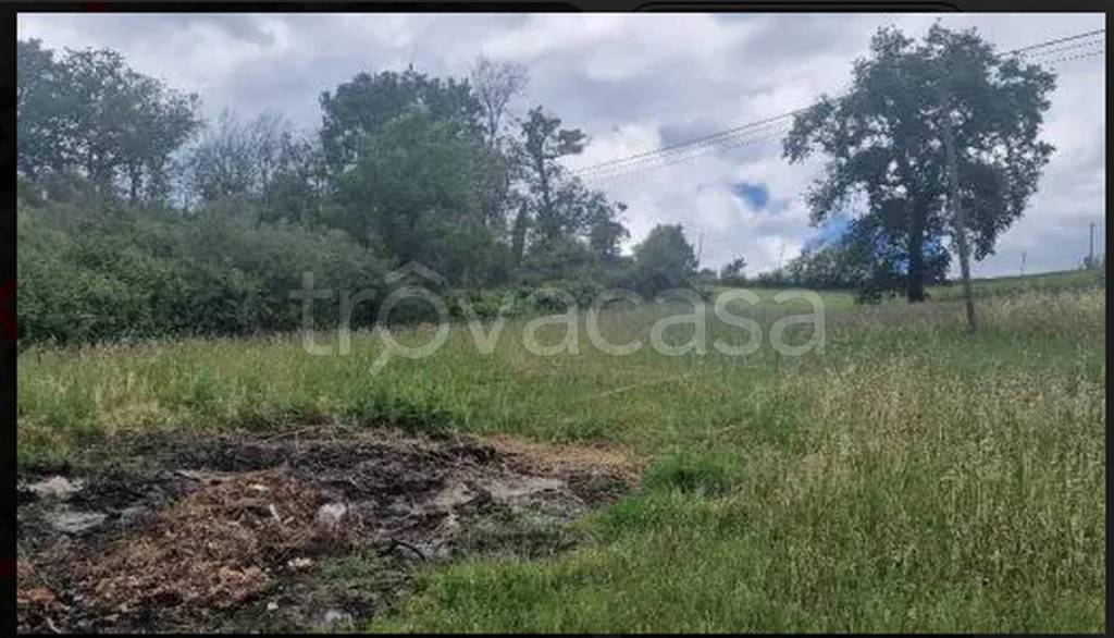 terreno edificabile in vendita a Tolentino