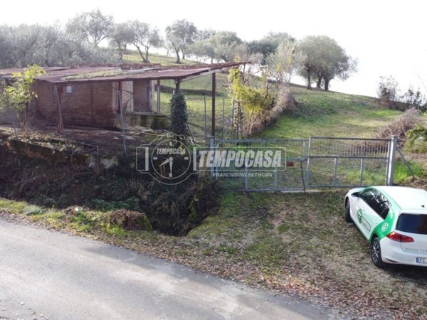 terreno agricolo in vendita a Tolentino in zona Divina Pastora