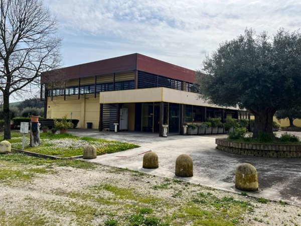 negozio in vendita a Tolentino in zona Divina Pastora