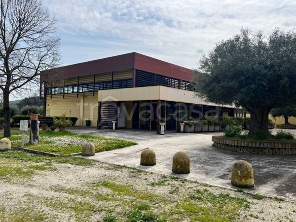 negozio in vendita a Tolentino in zona Divina Pastora