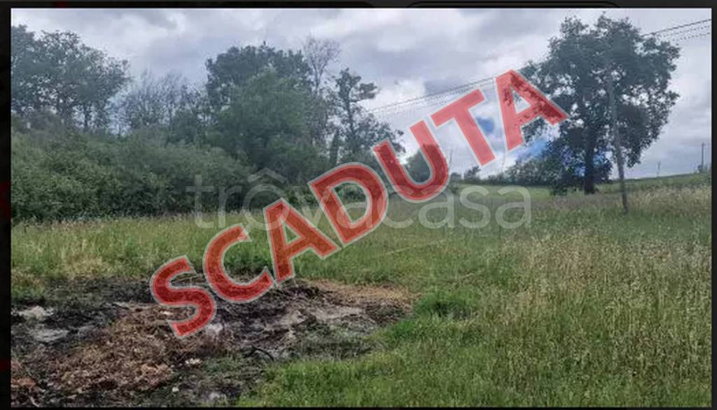 terreno edificabile in vendita a Tolentino