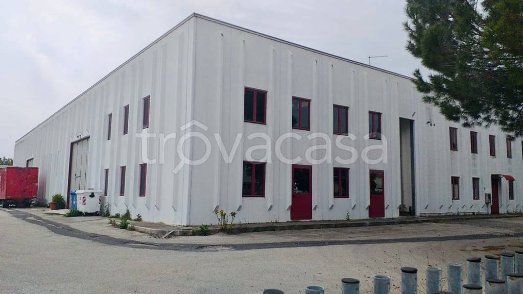 appartamento in vendita a Treia