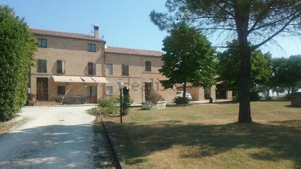 esavano in vendita a Treia