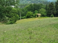 terreno agricolo in vendita a Treia