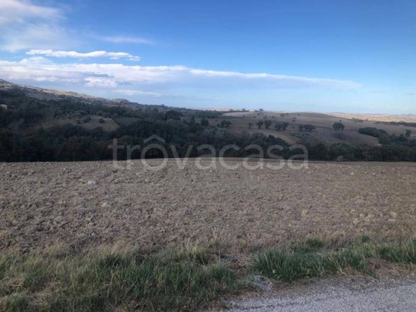 terreno agricolo in vendita a Treia
