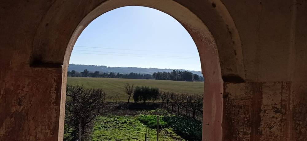 casa indipendente in vendita a Treia