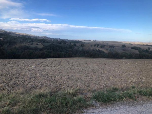 terreno agricolo in vendita a Treia