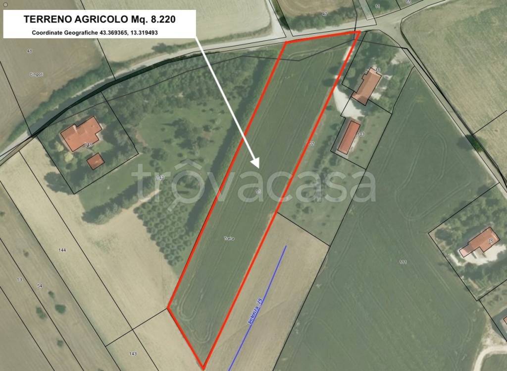 terreno agricolo in vendita a Treia