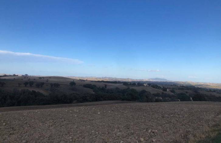 terreno agricolo in vendita a Treia