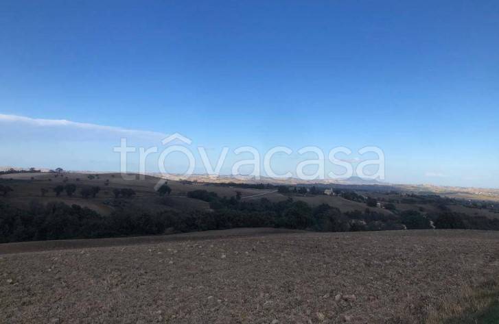 azienda agricola in vendita a Treia