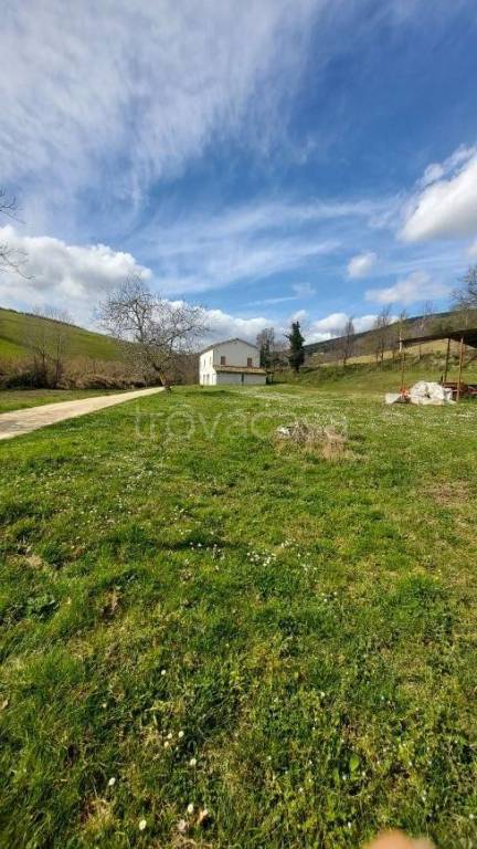 appartamento in vendita a Treia