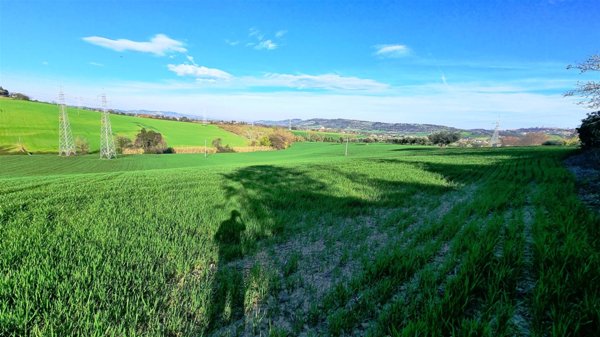 terreno agricolo in vendita a Treia in zona Santa Maria in Selva