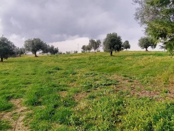 terreno agricolo in vendita a Treia in zona Chiesanuova