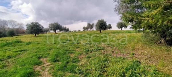 terreno agricolo in vendita a Treia in zona Chiesanuova