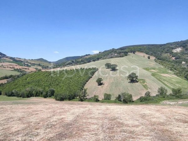 terreno agricolo in vendita a Treia