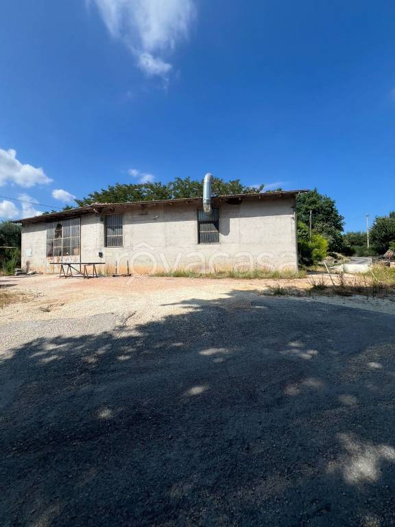 appartamento in vendita a Treia in zona Passo di Treia