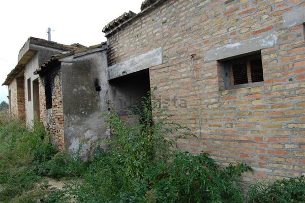 esavano in vendita a Treia