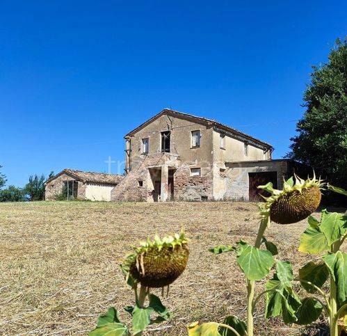 casa indipendente in vendita a Treia