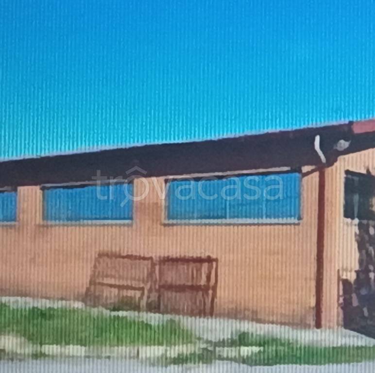 locale commerciale in vendita a Treia