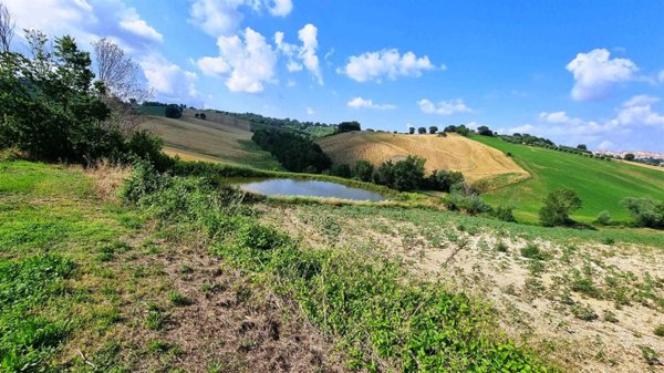 terreno agricolo in vendita a Treia