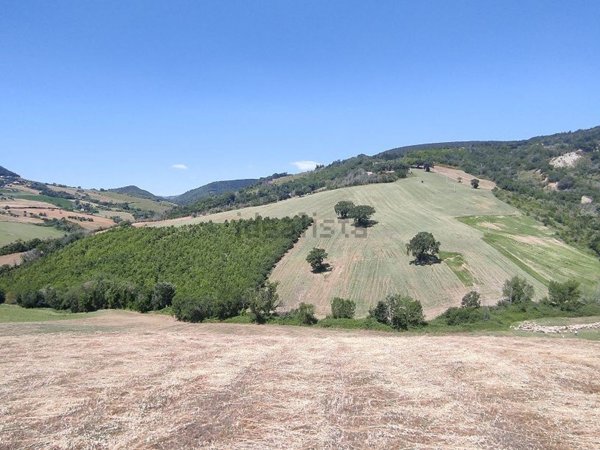 terreno agricolo in vendita a Treia