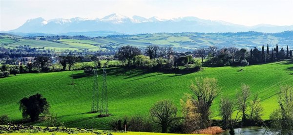 terreno agricolo in vendita a Treia in zona Santa Maria in Selva
