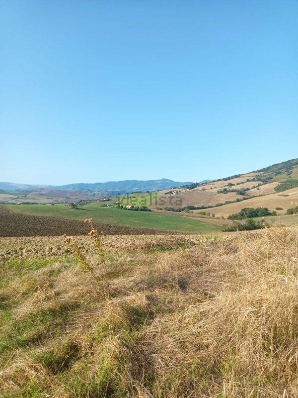 casale in vendita a Treia