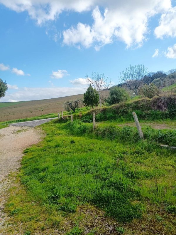 casale in vendita a Treia