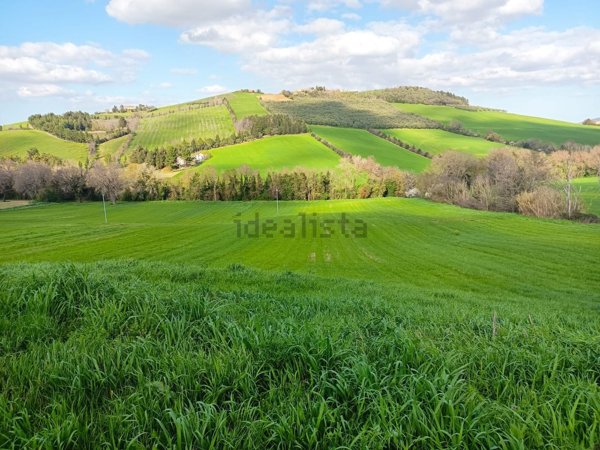casa indipendente in vendita a Treia