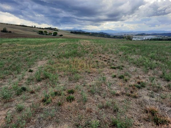 terreno agricolo in vendita a Treia