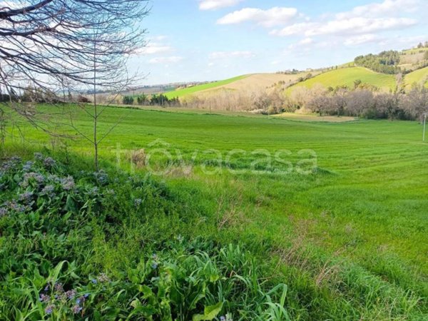 casa indipendente in vendita a Treia