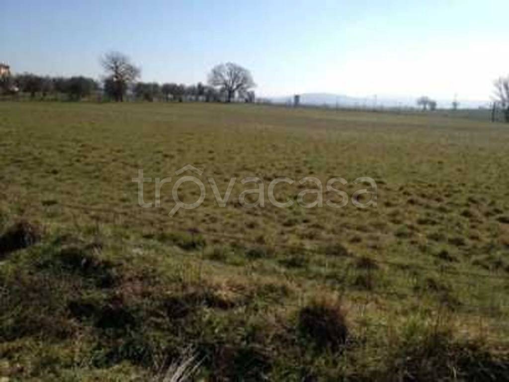 terreno agricolo in vendita a Treia in zona Santa Maria in Selva