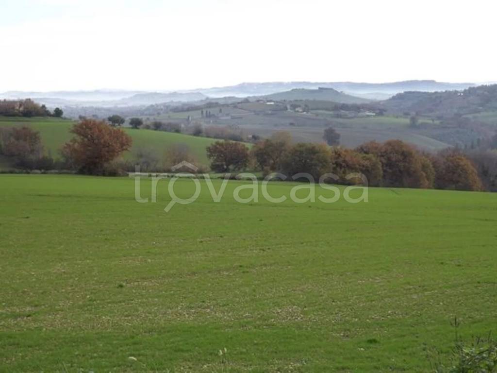 casa semindipendente in vendita a Treia