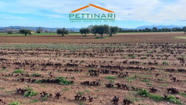 casa indipendente in vendita a Treia