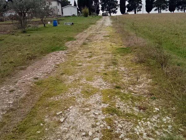 terreno edificabile in vendita a Treia
