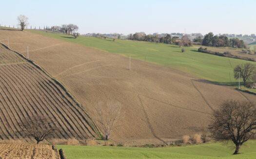 terreno agricolo in vendita a Treia