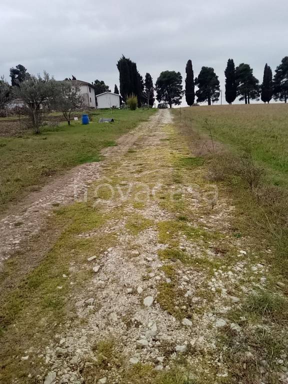 terreno edificabile in vendita a Treia