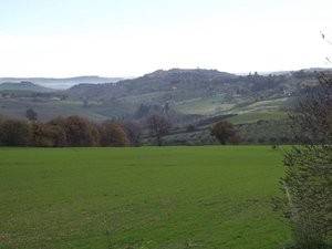 terreno agricolo in vendita a Treia