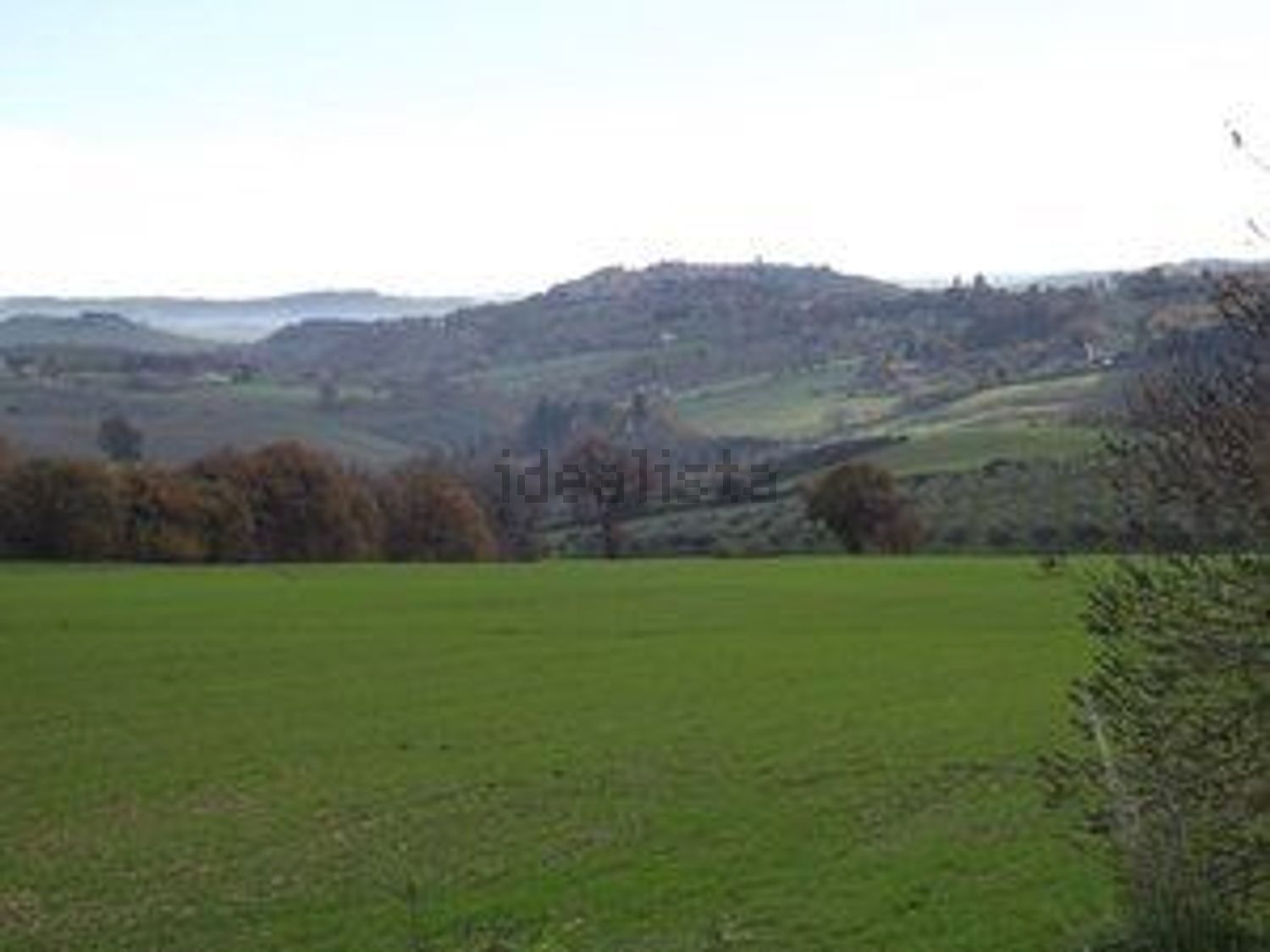terreno agricolo in vendita a Treia