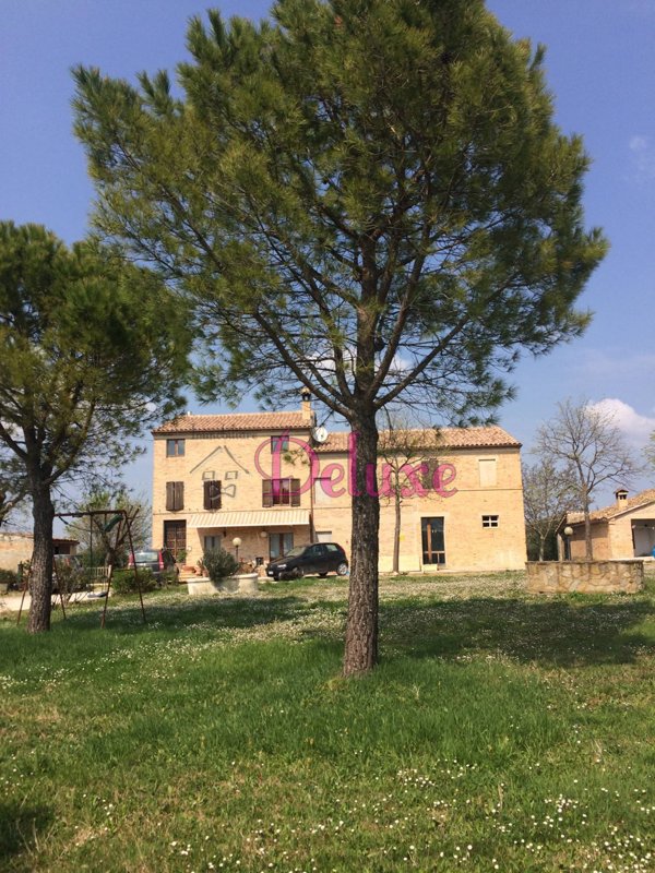 casa indipendente in vendita a Treia