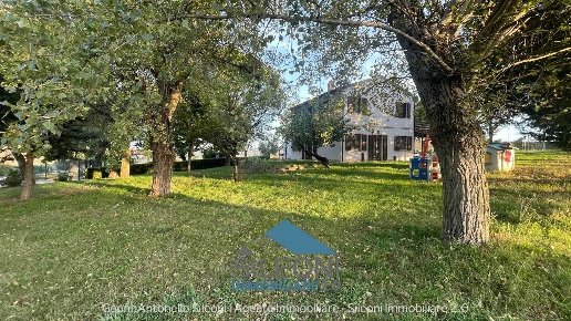 casa indipendente in vendita a Treia