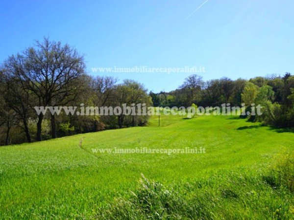 casa indipendente in vendita a Treia