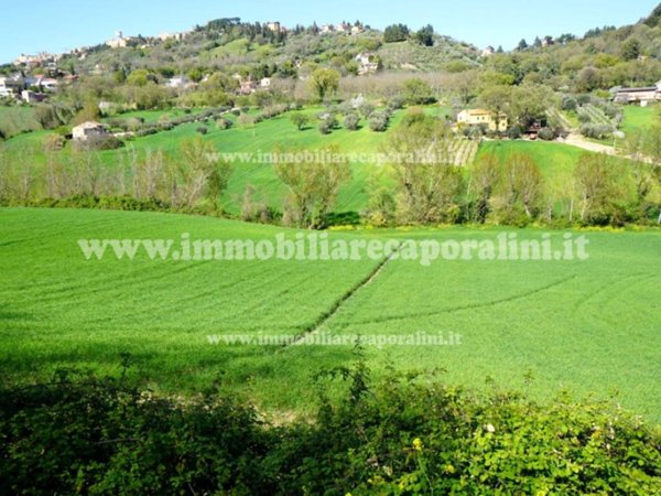 casa indipendente in vendita a Treia