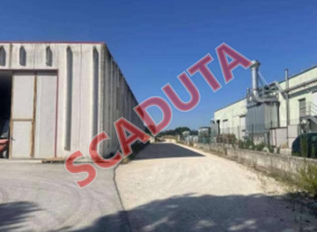 pentavano in vendita a Treia in zona Santa Maria in Selva