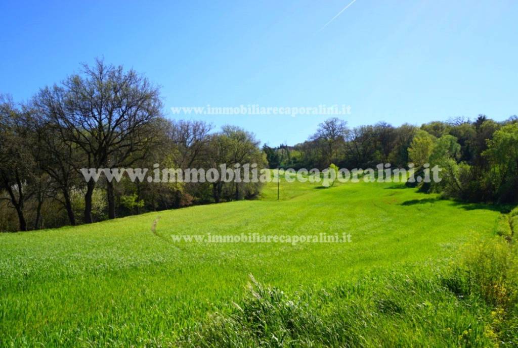 casa indipendente in vendita a Treia