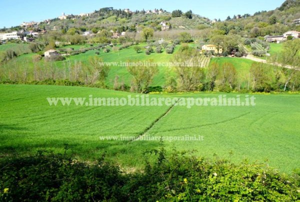 casa indipendente in vendita a Treia