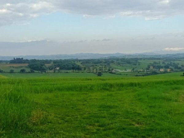 terreno agricolo in vendita a Treia in zona Santa Maria in Selva