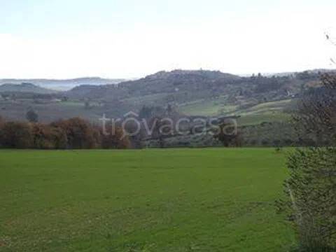terreno agricolo in vendita a Treia in zona Santa Maria in Selva
