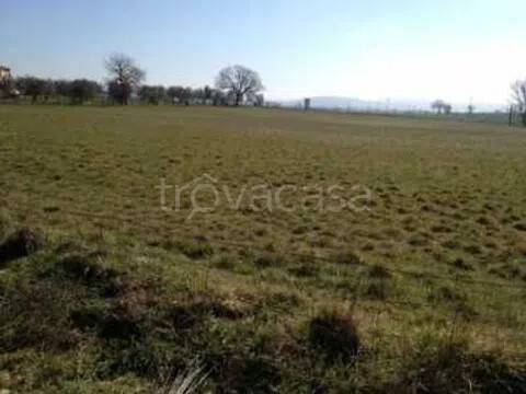 terreno agricolo in vendita a Treia in zona Santa Maria in Selva