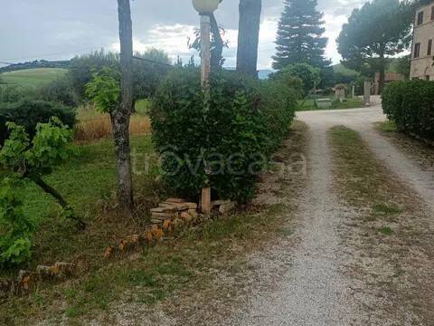terreno agricolo in vendita a Treia